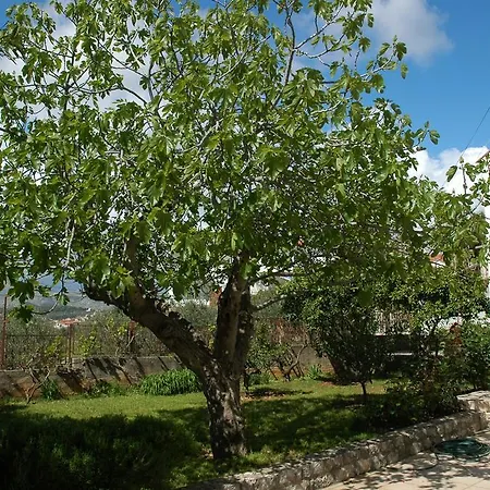 Agnic Trogir