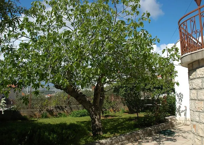 Agnic Trogir