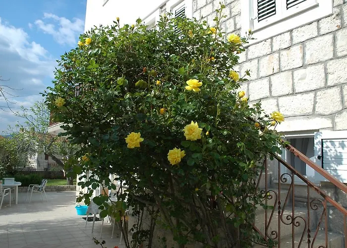 Agnic * Trogir